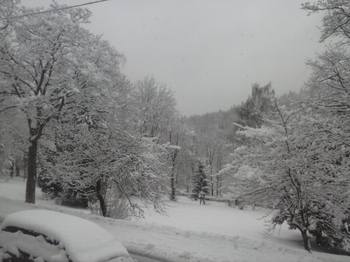 Pensjonat Kosciuszko Krynica-Zdrój Esterno foto